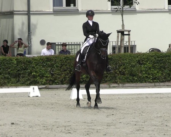 Reitturnier Neustadt/Dosse 2025