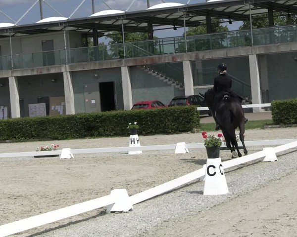 Reitturnier Neustadt/Dosse 2025