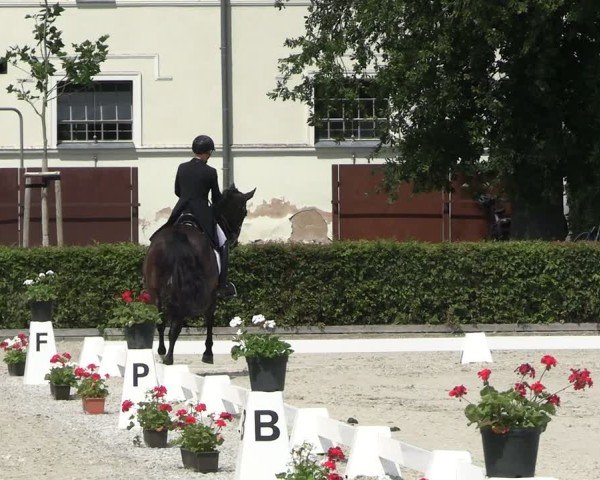 Reitturnier Neustadt/Dosse 2025