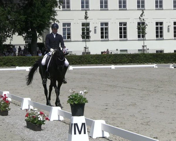 Reitturnier Neustadt/Dosse 2025