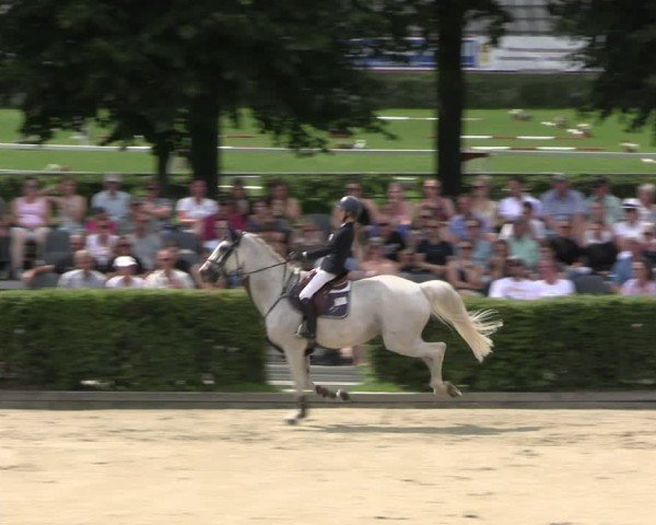Reitturnier Neustadt/Dosse 2025