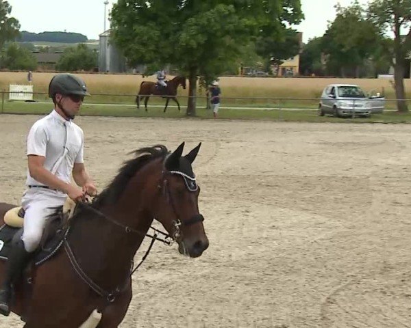 Reitturnier Rot am See- Musdorf 2025