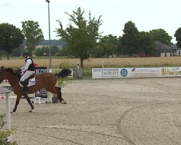 Reitturnier Rot am See- Musdorf 2025