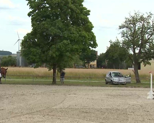 Reitturnier Rot am See- Musdorf 2025