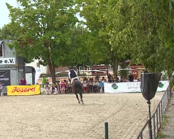 Reitturnier Rot am See- Musdorf 2025