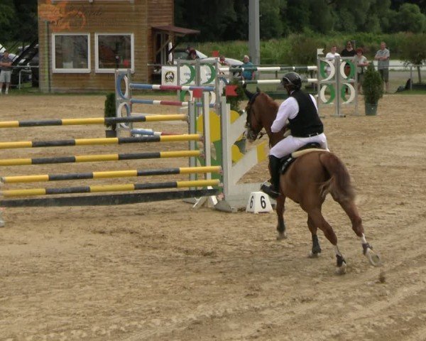 Reitturnier Bad Liebenstein/Sorga 2025