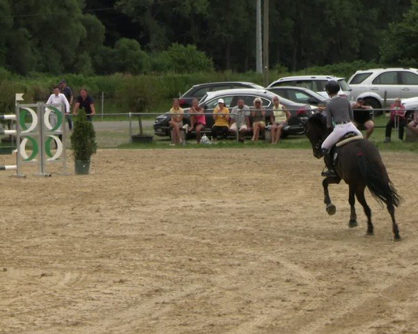Reitturnier Bad Liebenstein/Sorga 2025