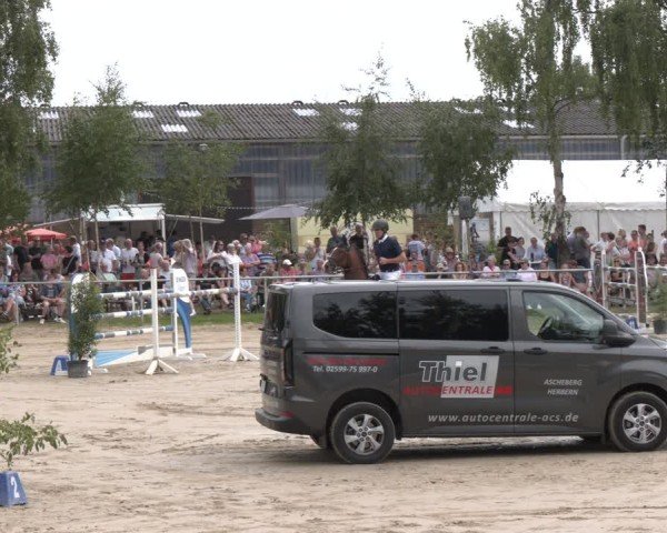 Reitturnier Herbern 2025
