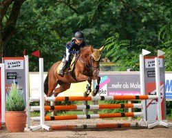 broodmare Cassiopeia 140 (German Riding Pony, 2019, from Classic Dancer I)