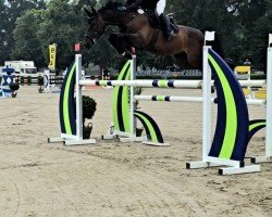 jumper Classico Blue W (Oldenburg show jumper, 2017, from Chacoon Blue)