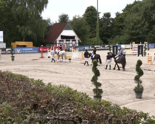 Reitturnier Vlotho-Exter 2025