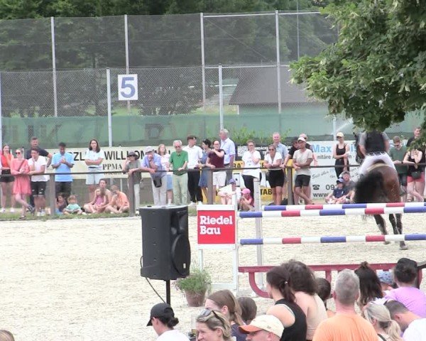 Reitturnier Würzburg/Ufr. 2025