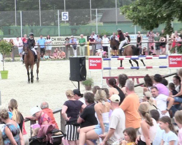 Reitturnier Würzburg/Ufr. 2025