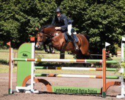broodmare Chiquitita DS (German Sport Horse, 2015, from Chacomo)