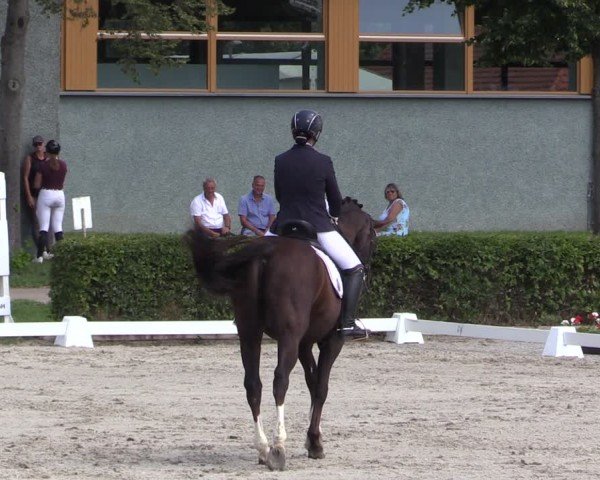 Reitturnier Neustadt/Dosse 2025