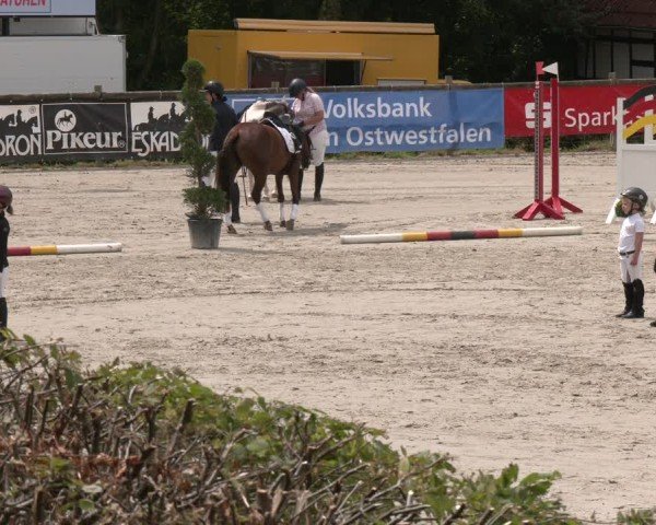 Reitturnier Vlotho-Exter 2025