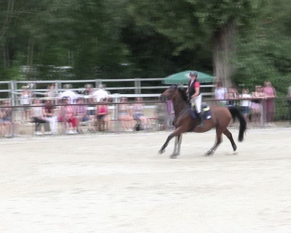 Reitturnier Würzburg/Ufr. 2025
