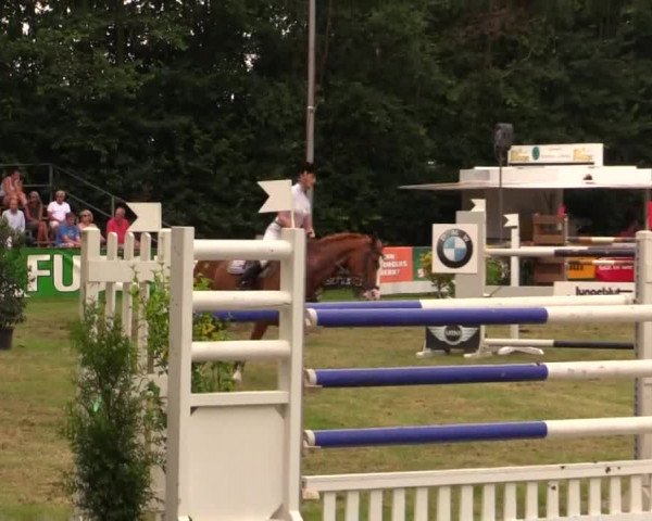 Pfingst - Dressur und Springturnier Borken 2014
