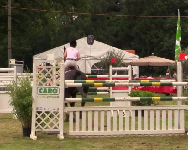 Pfingst - Dressur und Springturnier Borken 2014