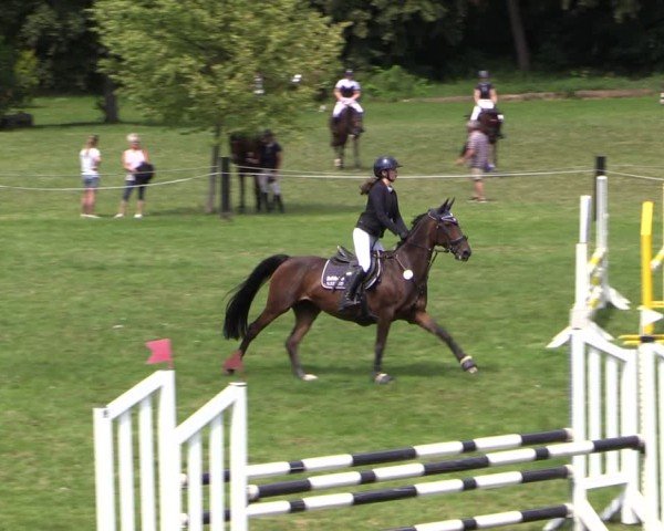 Reitturnier Seelitz 2025