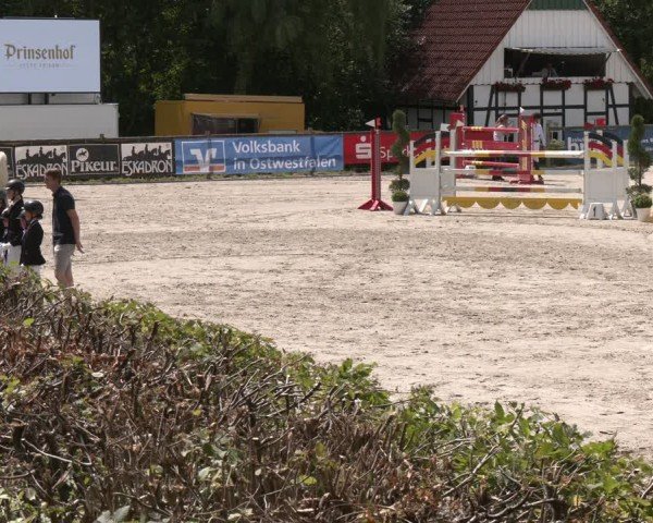 Reitturnier Vlotho-Exter 2025