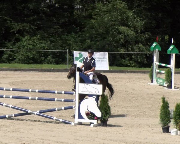 Reitturnier Maienfeld 2025