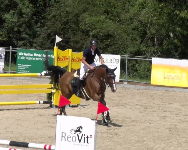 Reitturnier Maienfeld 2025