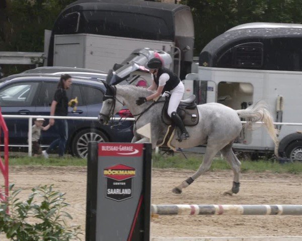 Reitturnier Heiligenwald 2025