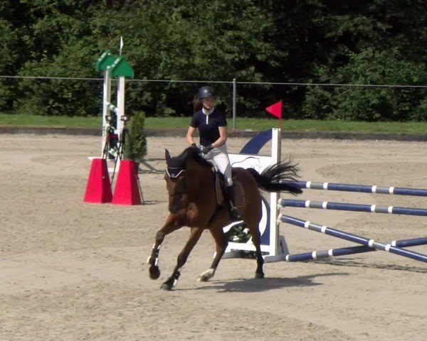 Reitturnier Maienfeld 2025