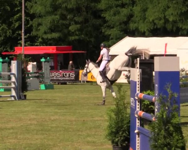 Pfingst - Dressur und Springturnier Borken 2014