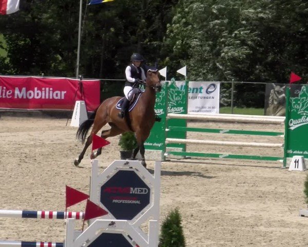 Reitturnier Maienfeld 2025