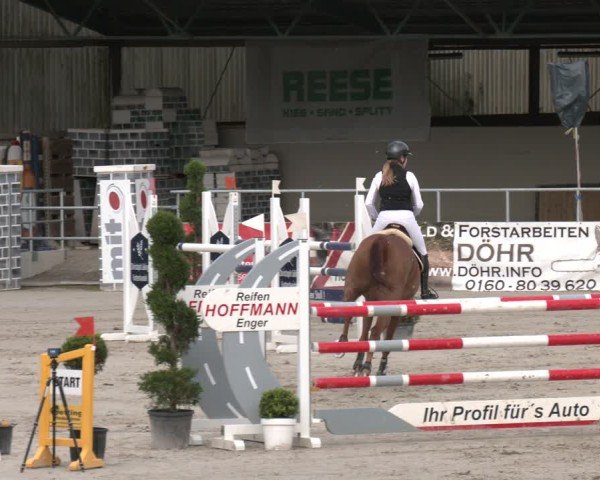 Reitturnier Vlotho-Exter 2025