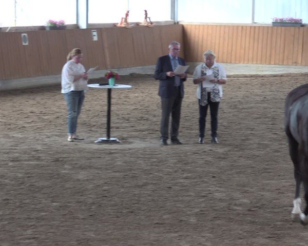 Reitturnier Herbern 2025