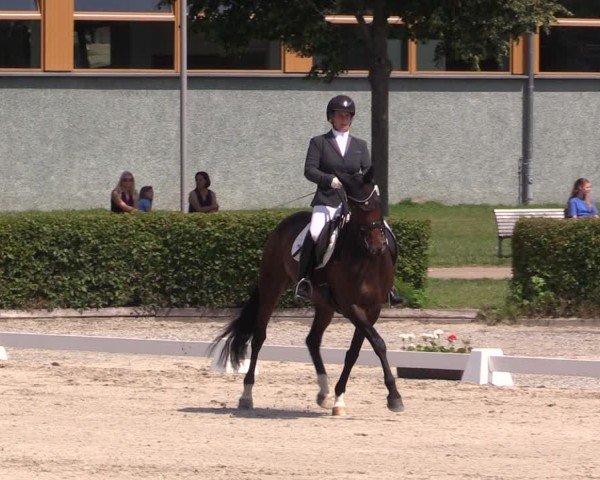 Reitturnier Neustadt/Dosse 2025