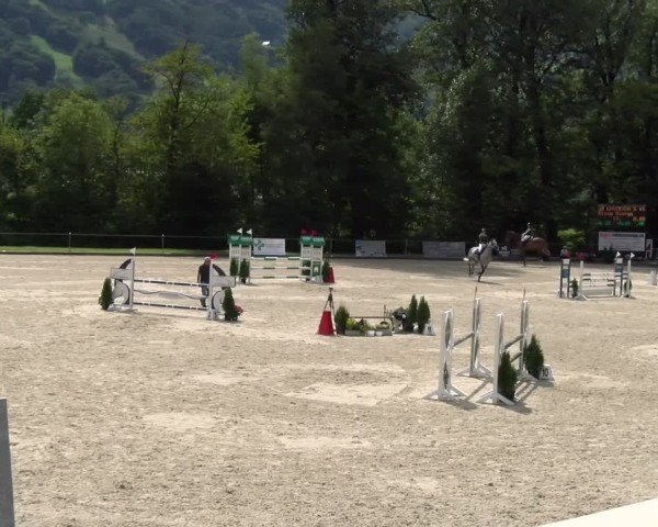 Reitturnier Maienfeld 2025