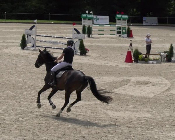 Reitturnier Maienfeld 2025