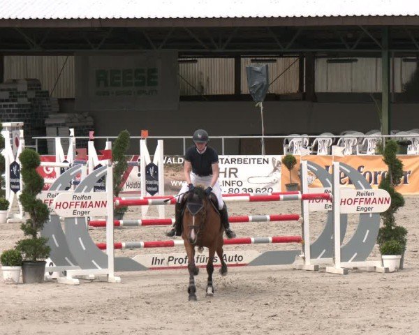 Reitturnier Vlotho-Exter 2025