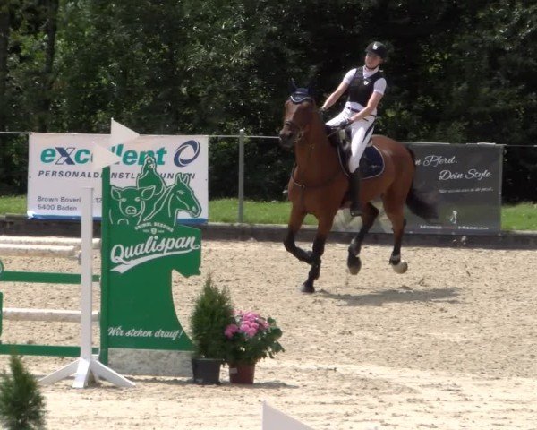Reitturnier Maienfeld 2025