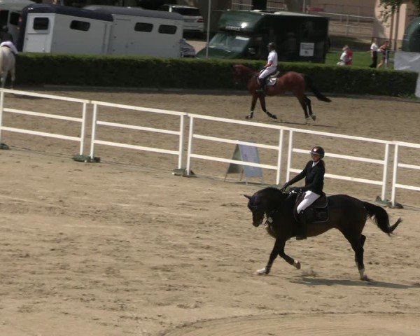 Reitturnier Neustadt/Dosse 2025