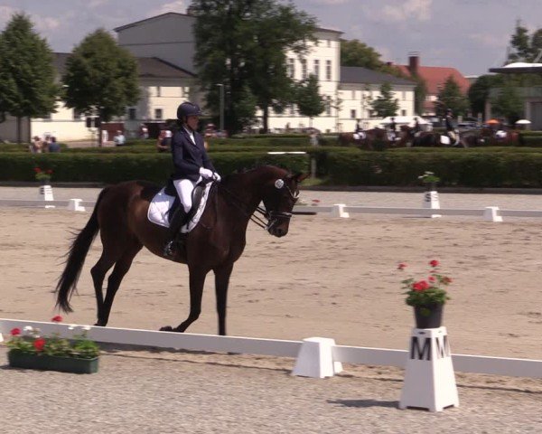 Reitturnier Neustadt/Dosse 2025