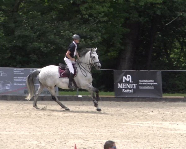 Reitturnier Maienfeld 2025