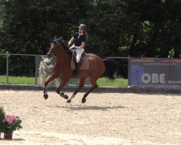 Reitturnier Maienfeld 2025