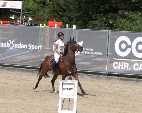 Reitturnier Maienfeld 2025