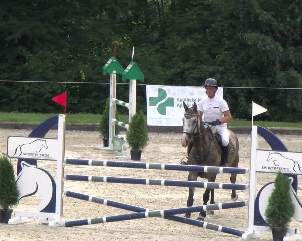 Reitturnier Maienfeld 2025