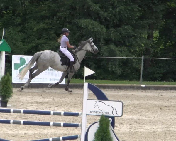 Reitturnier Maienfeld 2025