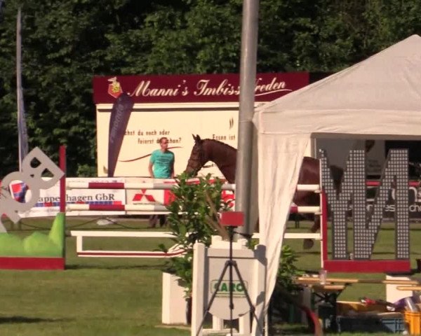 Pfingst - Dressur und Springturnier Borken 2014