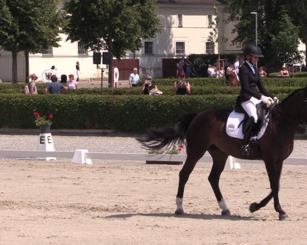 Reitturnier Neustadt/Dosse 2025