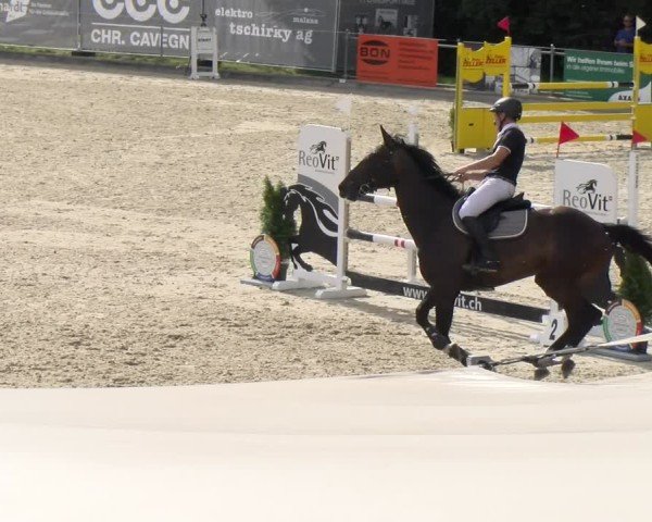 Reitturnier Maienfeld 2025