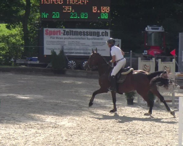 Reitturnier Maienfeld 2025
