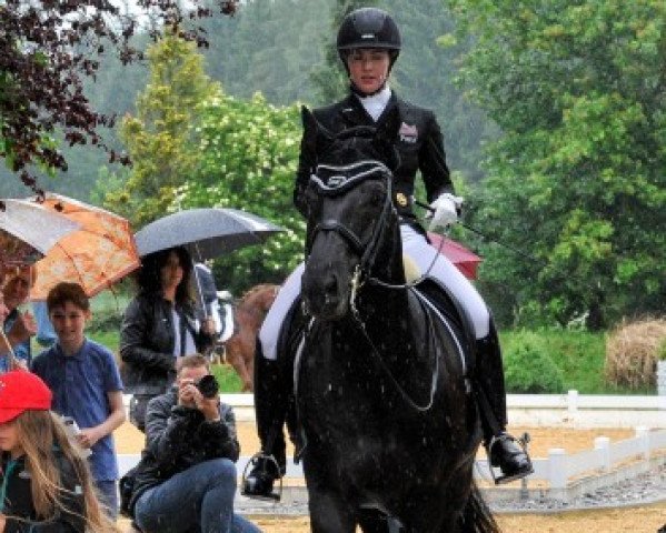 dressage horse Gut Wettlkam's Filou (Oldenburg, 2012, from Fürstenball)